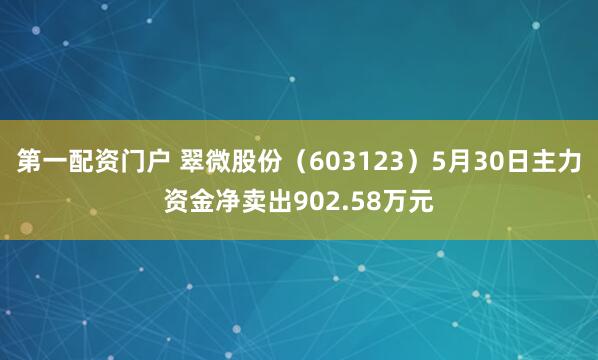 第一配资门户 翠微股份（603123）5月30日主力资金净卖出902.58万元