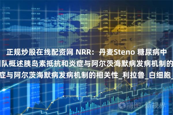 正规炒股在线配资网 NRR：丹麦Steno 糖尿病中心Joachim Størling团队概述胰岛素抵抗和炎症与阿尔茨海默病发病机制的相关性_利拉鲁_白细胞_疾病
