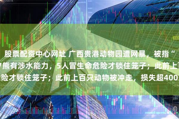 股票配资中心网址 广西贵港动物园遭网暴，被指“没人性”；负责人：7狮7熊有涉水能力，5人冒生命危险才锁住笼子；此前上百只动物被冲走，损失超400万元